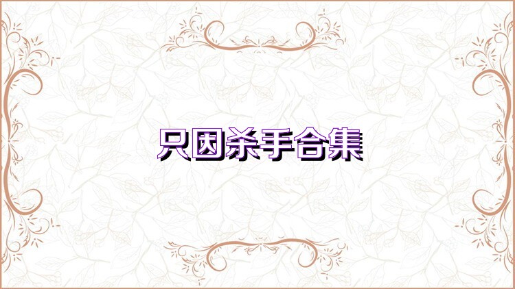 只因杀手合集