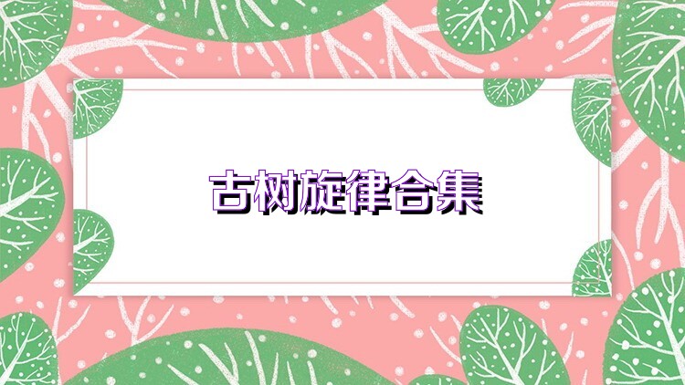 古树旋律合集