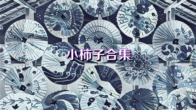 小柿子合集