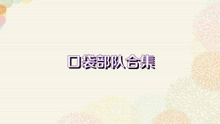口袋部队合集