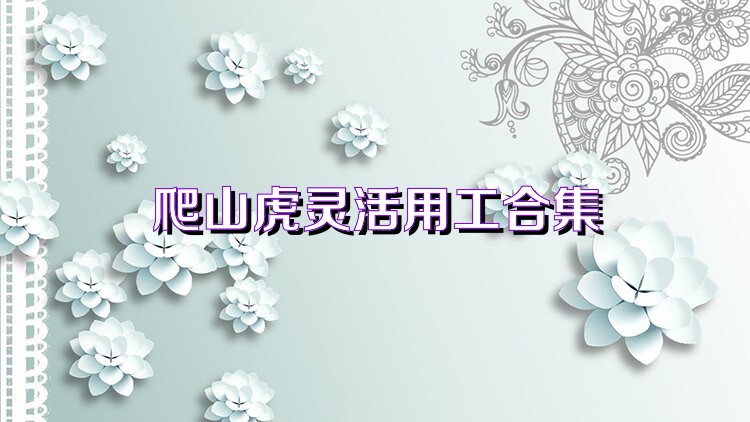 爬山虎灵活用工合集